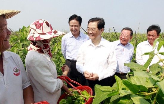 胡锦涛在海口市龙泉镇五一万亩田洋向村民刘江丽询问她家去年洪灾损失和今年种菜收益情况。新华社发