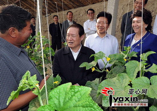 这是5月5日，在哈密市二堡镇定居兴牧工程示范点哈萨克族牧民吐尔斯乃·巴合提亚自家的蔬菜大棚内，周永康向他详细了解蔬菜生产情况。新华社记者李涛摄