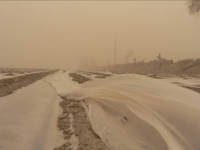 新疆生产建设兵团局地遭受沙尘暴灾害(图)