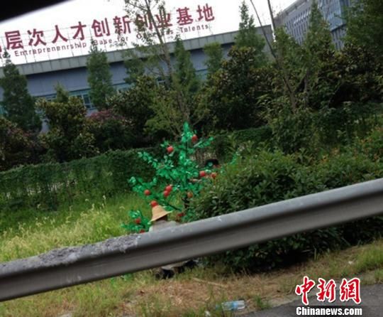 ����Tomyxw���ĵ����֡�����������Ƭ��