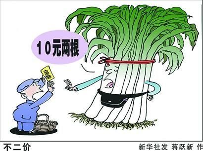 北京上海等地大葱涨价 市民称10元仅能买两根