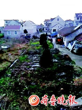 陆家以前的老宅早已拆除,而周围是其他村民新建的二层楼房。 陆家以前的老宅早已拆除,而周围是其他村民新建的二层楼房。