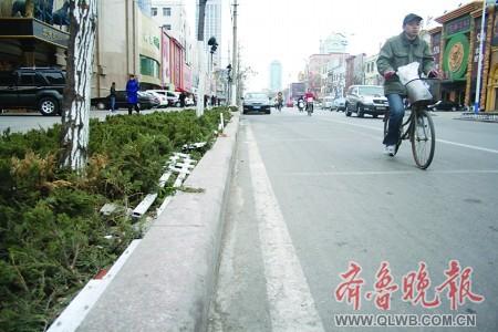 绿化带护栏"支离破碎"