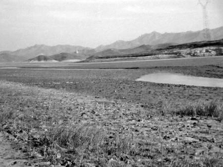 西南旱情勾起烟台人往事回忆 十年前大旱至今