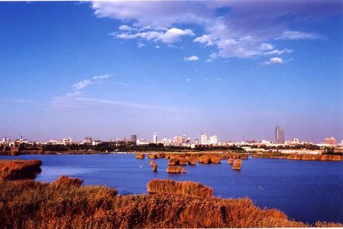 "塞上湖城"别墅成宁夏美景小海银川首府品牌宜居南买哪里图片