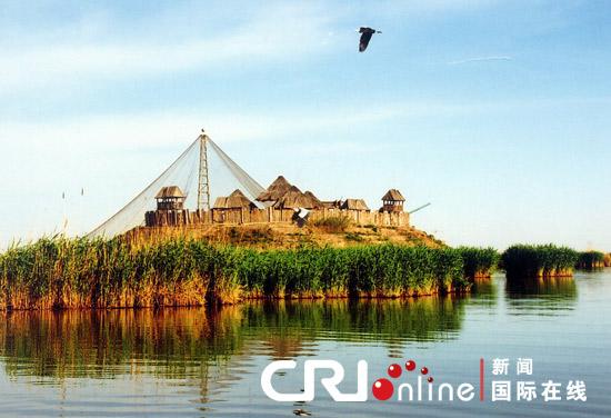 观鸟胜地来看鸟:宁夏沙湖生态旅游区(图)