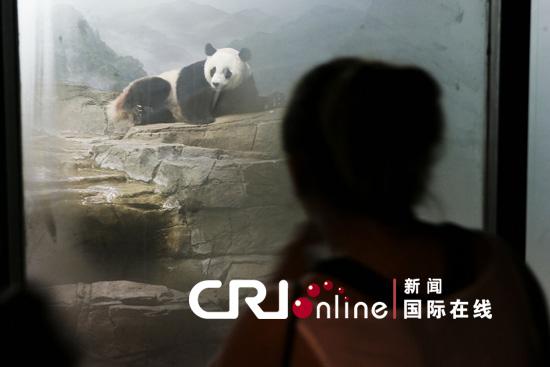 ����è"����""����"����������������չ�����о�