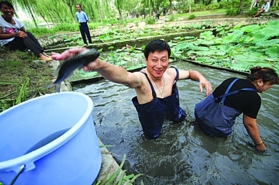 莫愁湖里 “浑水摸鱼”_新闻中心_新浪网