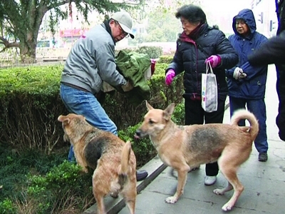 新生儿被弃公园险遭狗咬