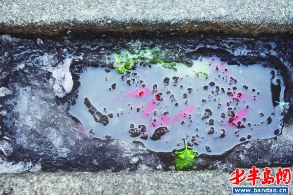 �ൺ����Ʈ��"̫��ѩ"�������붬�������