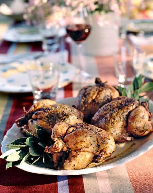 �̵��������ҹ����ϸ������ɫɫ�ò͡�����