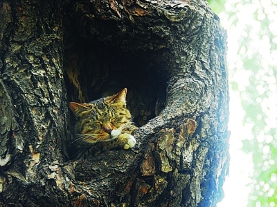 ����Ҳ��˯�ţ�