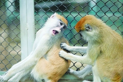 �����㣡����û��