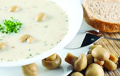 ���������ˡ�����Ģ������