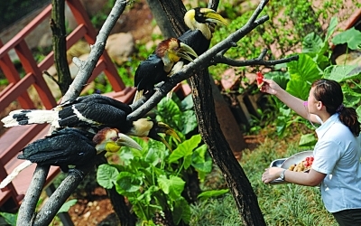 ̽�ض���԰����Ӫ���¿�Ӫ