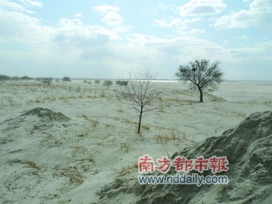 失水鹤乡:吉林省向海和莫莫格湿地正在干渴