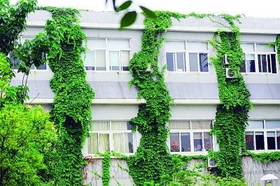 ���������źöӲ���ȥ�ģ�