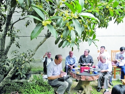 �����𿪻���