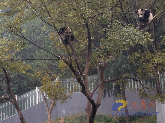 ����è�������������������ƺ���춼����������