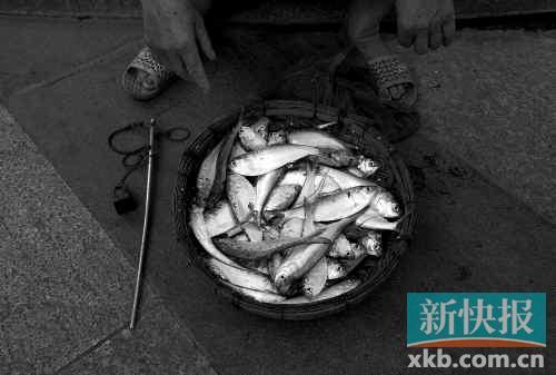 ��İ���СԺ����