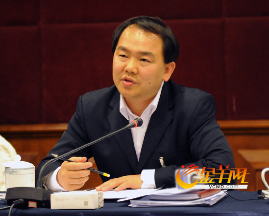 揭阳市长陈东:当代表不能把开会当成全部
