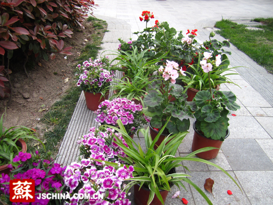 创建国家生态园林城市进社区活动在宁举行 南