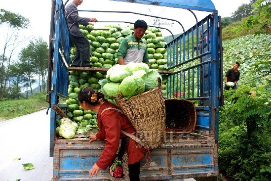 茂县开通绿色通道 累计外运农产品达480余吨
