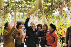 李嘉诚做客大石头村