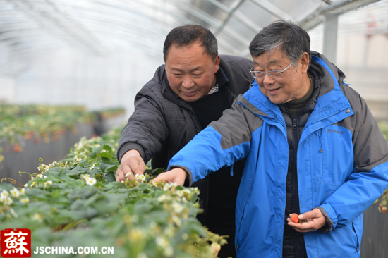 【改革先锋】赵亚夫:科技兴农的引领者,新农村