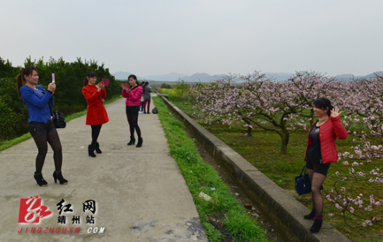 "田园美景,让人欣喜 龙本亮 摄   红网靖州站3月28日讯(分站记者 龙