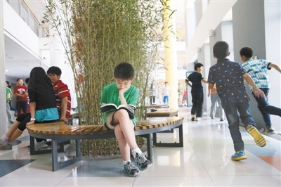 北京小学生捧书阅读调查