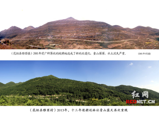 湖南退耕还林13年见成效 2114万亩山地重见青