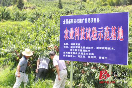 做好农业科技试验示范基地的试验示范,带动特色农业产业的快速发展