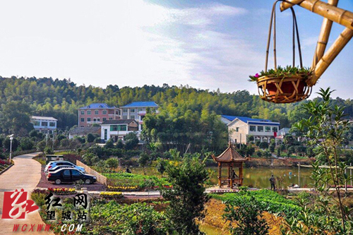 湖南省新农村建设的示范村,样板村—望城区白箬铺镇