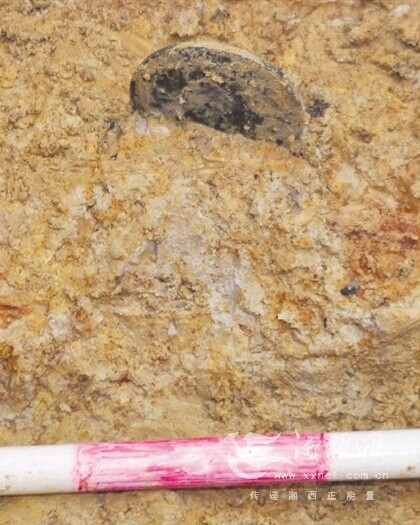 保靖抢救性发掘一西汉古墓 9件珍贵文物面世