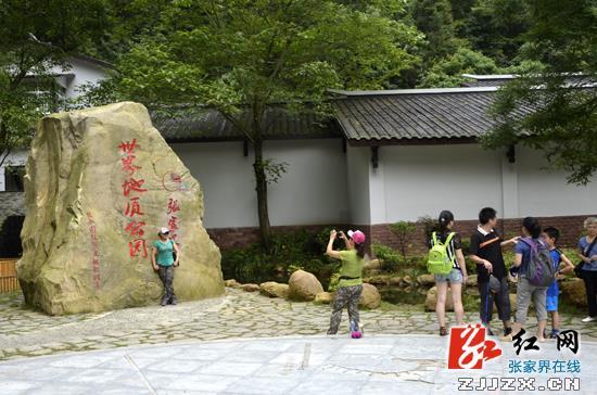 图片版权归原作者所有 图片版权归原作者所有