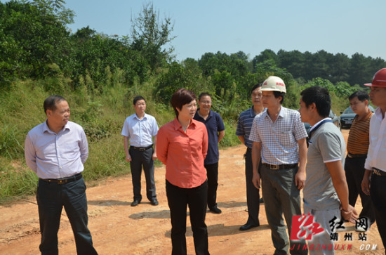 靖州:张远松现场调度绕城公路项目建设情况