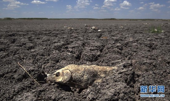 全球变暖引发洪水高温 7000座美军基地受影响