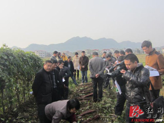 新邵潭府乡组织代表、委员视察生态农业及移民