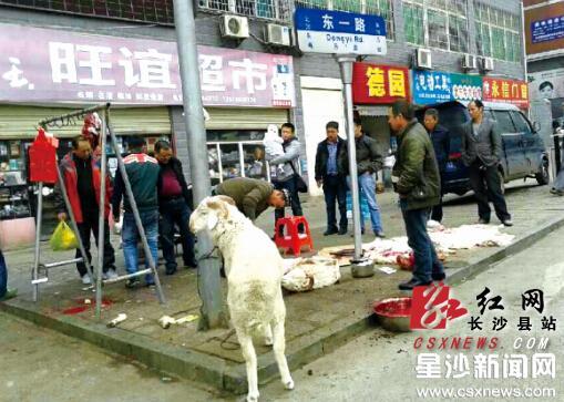 商贩违规当街宰羊卖肉城管:安排指定地点