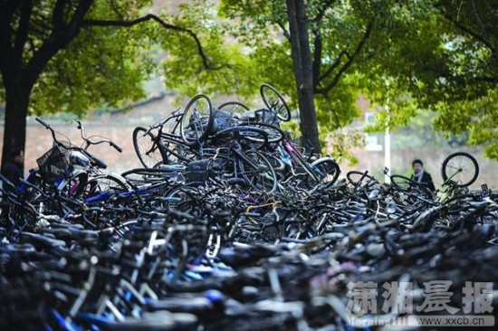 长沙高校废弃自行车堆积如山如何处理成难题(图)
