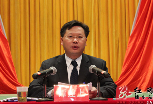 桂东县委副书记,县长黄峥嵘作总结讲话