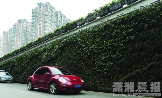 长沙东塘立交桥穿上花外套