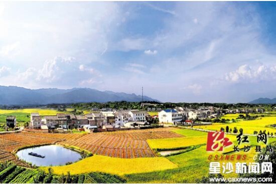 长沙县打造省会次中心：融合发展作示范建设魅力新农村