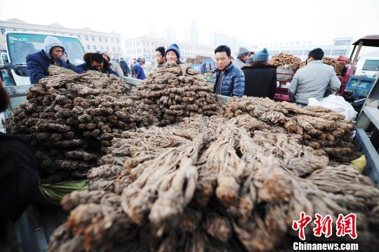 图为素有"千年药乡"之称的甘肃岷县境内繁忙的药材交易市场.