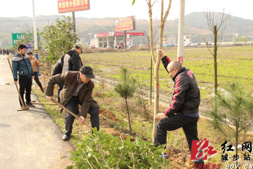 县城机关事业单位2000余名干部职工,在西岩镇江南高速公路互通等地段