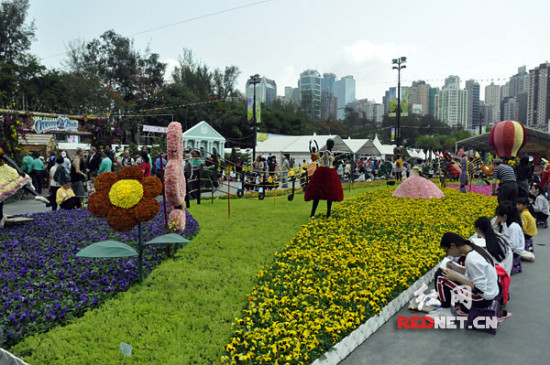 (3月20日,一年一度的香港花卉展在香港维多利亚公园举行.