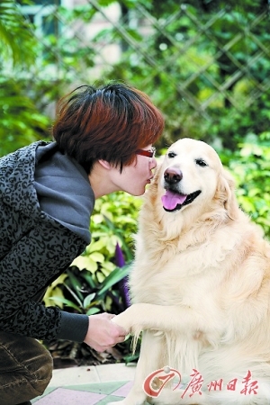 收入证明_狗医生收入(3)