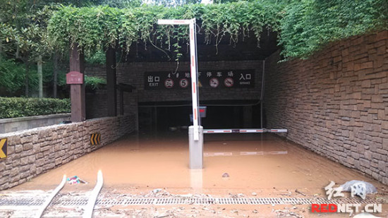 长沙别墅区车库突发洪水 多台豪车被淹