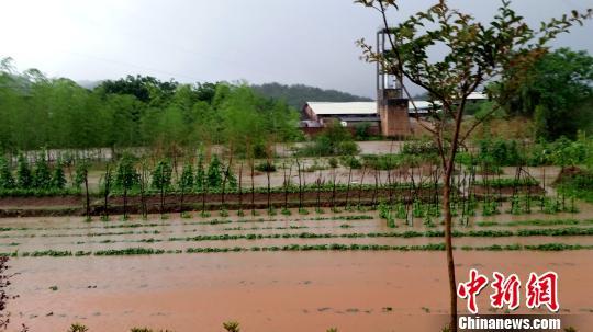 新媒:广东暴雨致186航班取消 明后日将持续雷